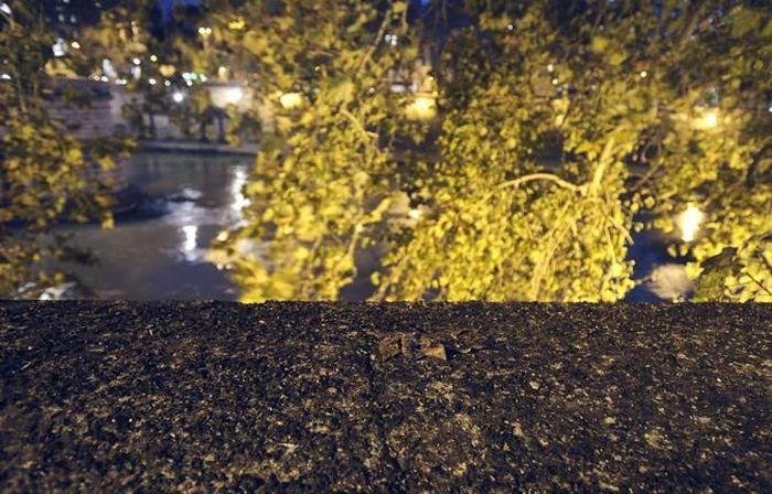 Oamenii sunt disperaţi. Ce se vede de trei zile deasupra Vaticanului şi Romei 235962