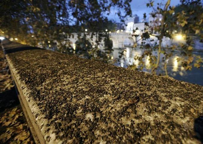 Oamenii sunt disperaţi. Ce se vede de trei zile deasupra Vaticanului şi Romei 235964