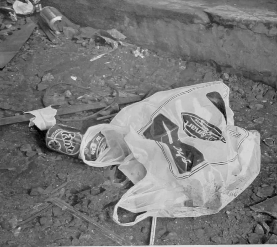 Poze sau desene? 10 imagini INCREDIBILE 236439