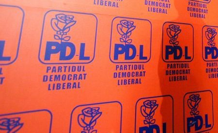 Un fost lider PSD a devenit preşedinte al unei organizaţii PDL