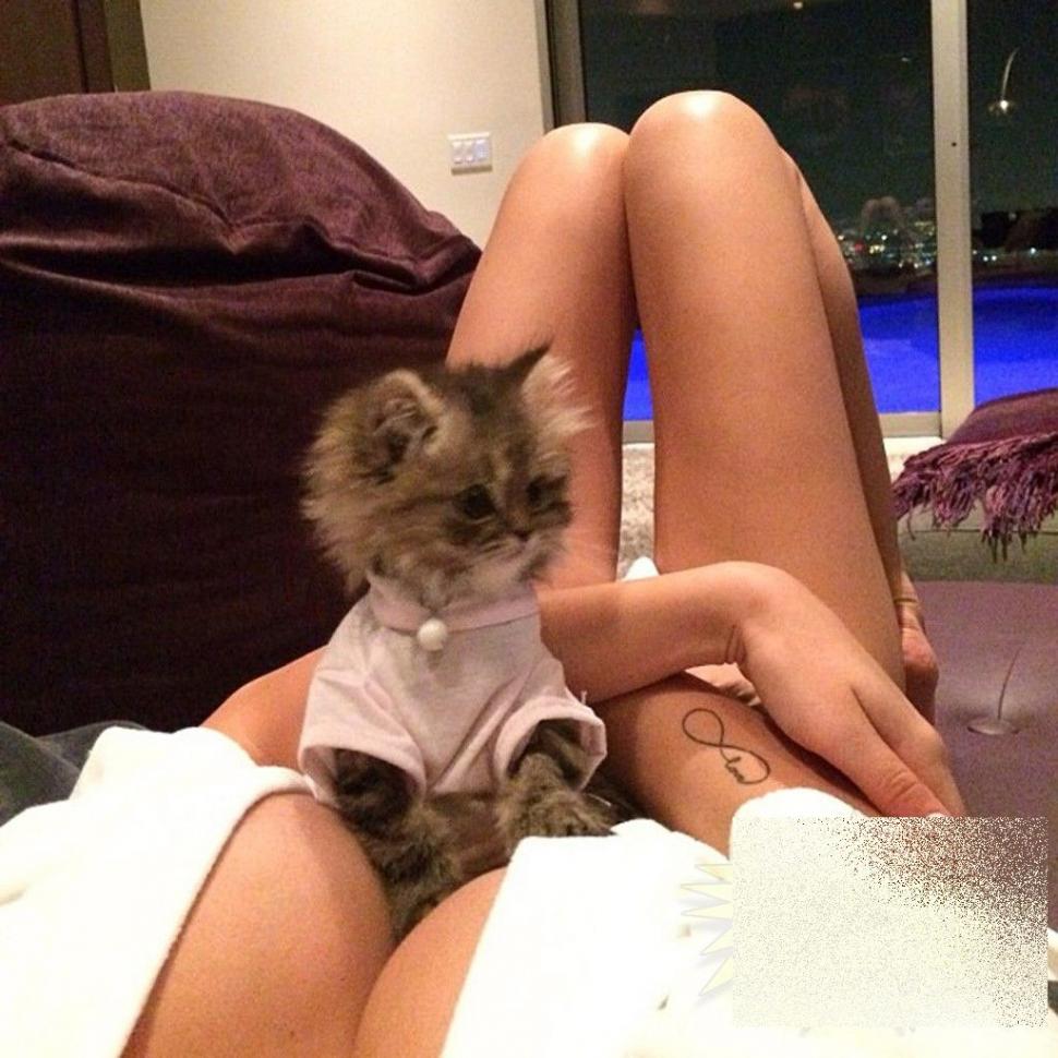 Aşa arată lumea unui jucător de poker profesionist. Luxul şi opulenţa sunt la ele acasă 237066