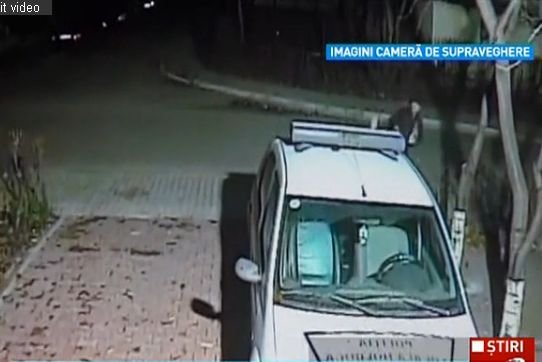 Doi ieşeni ameţiţi de alcool, filmaţi în timp ce vandalizau o maşină a Poliţiei Locale
