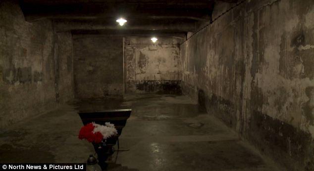 "Femeia fără numărul IADULUI". Povestea cutremurătoare a unei supravieţuitoare a Holocaustului: "Mi-a spus că făceau EXPERIMENTE pe ele" 238369