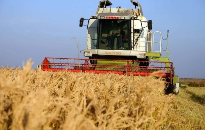 Din 2014, producătorii îşi vor putea vinde cerealele pe bursă