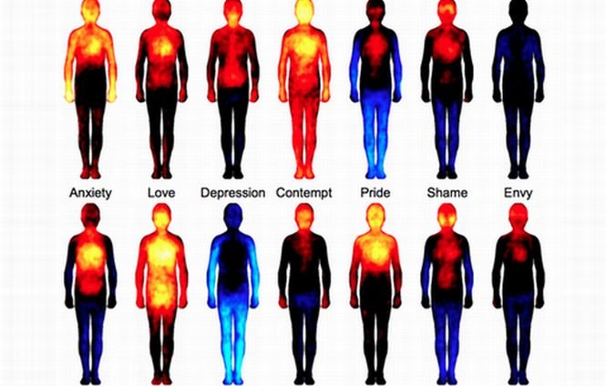 Studiul care arată cum este afectat corpul uman de emoţii