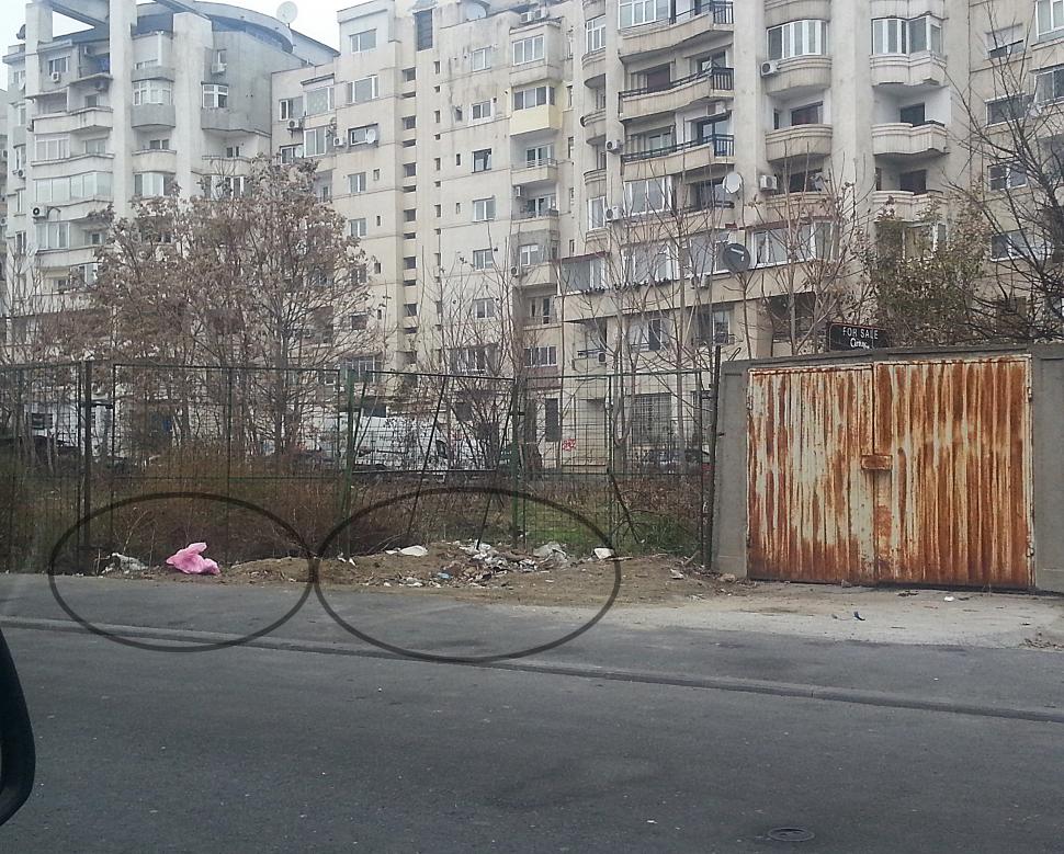 Anul Nou n-a schimbat "obiceiurile" românilor. Gunoaiele aruncate în stradă nu ne fac cinste 241706