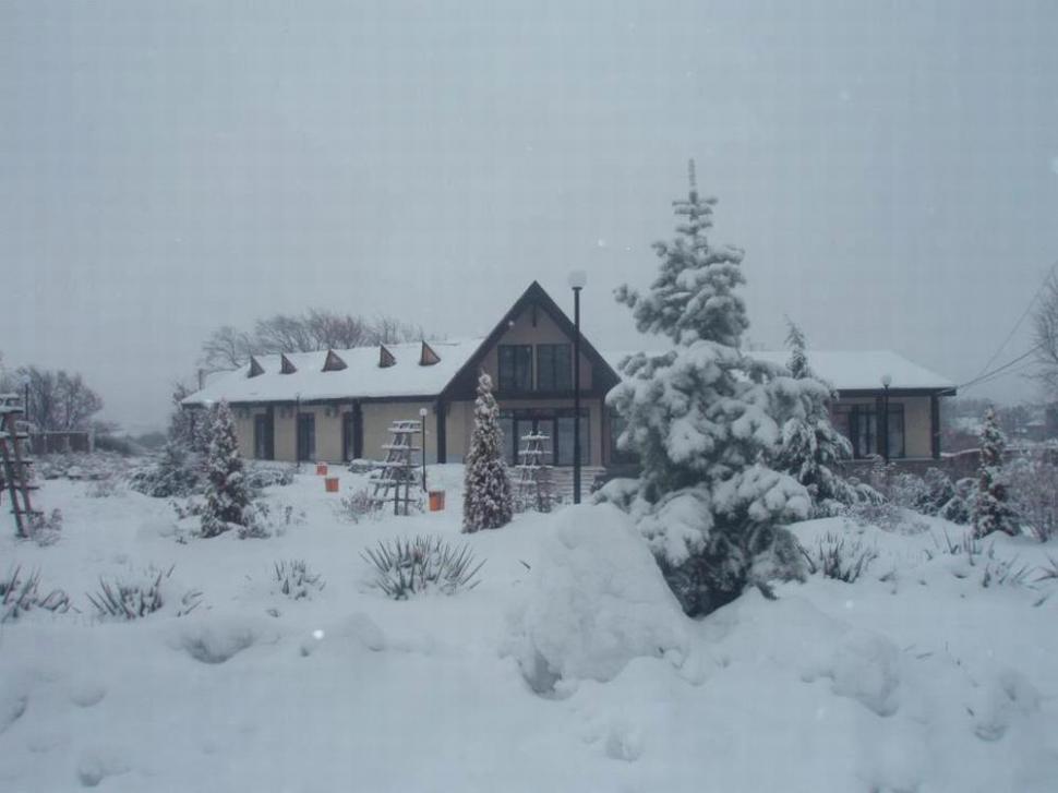 (P) Green Garden Resort – un popas pe Drumul Vinului, oferit de Regio 239882