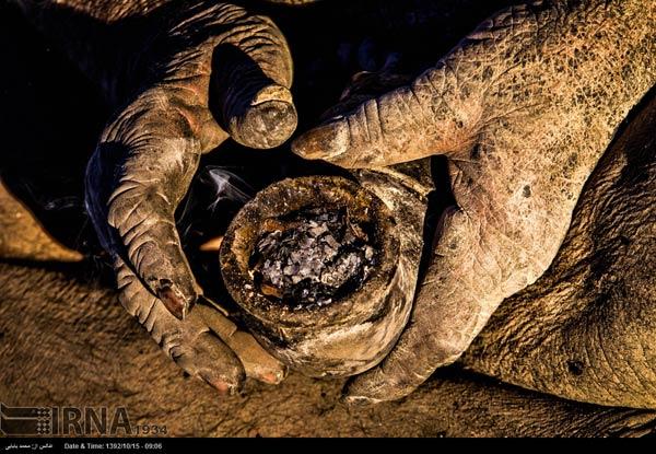 Imagini INCREDIBILE. Cum arată bărbatul care nu s-a mai SPĂLAT de 60 de ANI 242212