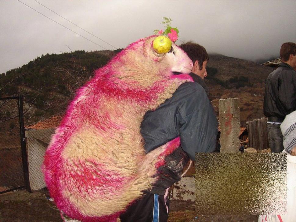 Dacă aşa arată mirele, stai să vezi mireasa. Nunta asta se desfăşoară la câţiva paşi de noi 243139