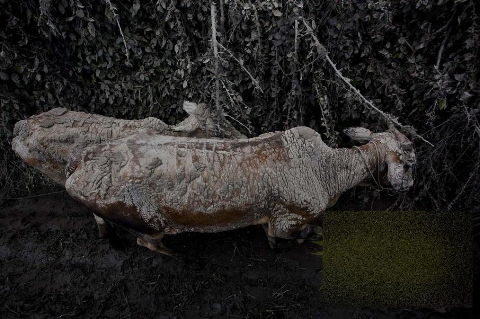 DEZASTRUL care s-a declanşat la câteva minute după ce a fost făcută poza asta. "E Pompeiul zilelor noastre" 243398