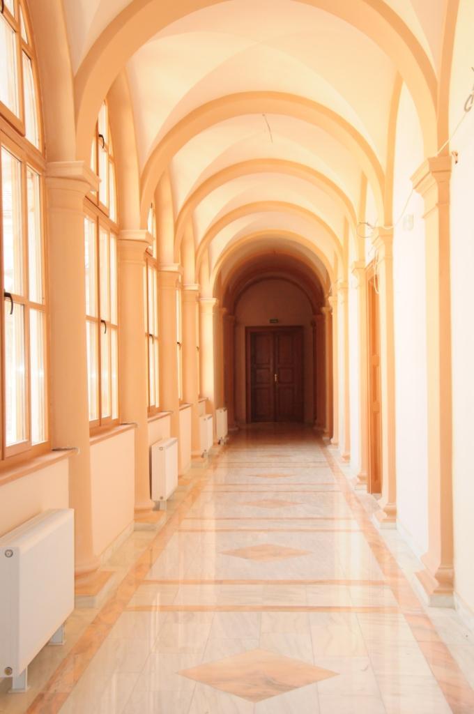 (P) Colegiul  „Moise Nicoară”, Arad – tradiţie şi inovaţie prin Regio 242279