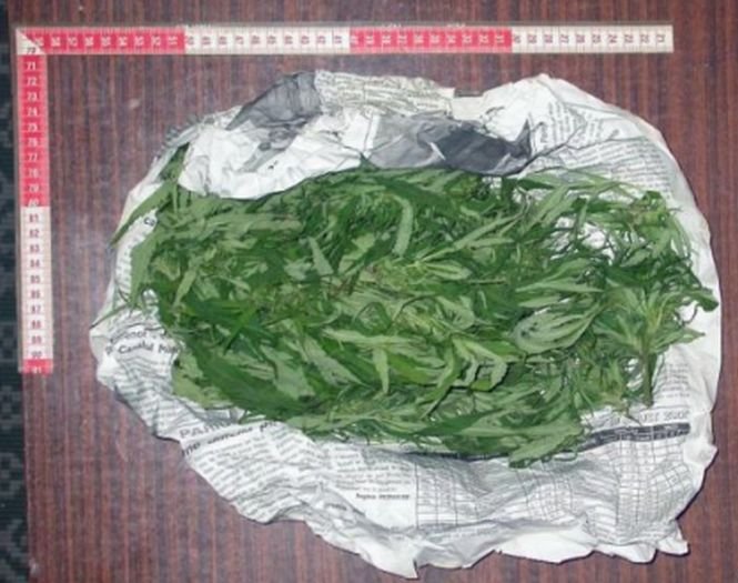 Traficanţi de droguri, prinşi, la Piteşti, cu opt kilograme de canabis în portbagaj