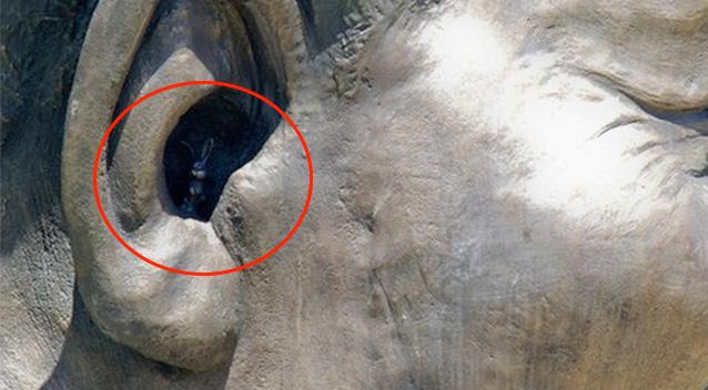 Ce caută un iepuraş sculptat în urechea statuii lui Nelson Mandela ? 244318
