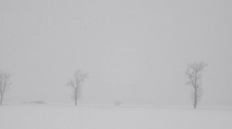 Mai multe localităţi din Ilfov şi Argeş au rămas în beznă din cauza ninsorii abundente
