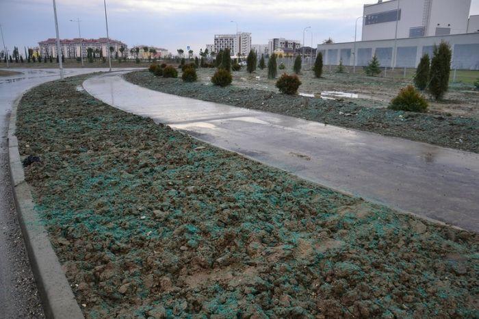 Imagini incredibile din Rusia. Asa arată oraşul care va găzdui cele mai scumpe Jocuri Olimpice de Iarnă. "Au pictat noroiul cu verde, că nu creşte iarba" 244942