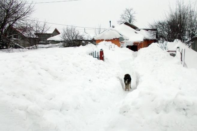 În satele brăilene, jandarmii au luat la lopată nămeţii ca să îi scoată pe oameni din casele îngropate în zăpadă 