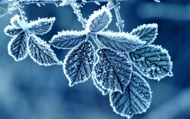 Cea mai scăzută temperatură din această iarnă: minus 25,3 grade, la Miercurea Ciuc
