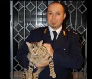 În goana după bani, un român din Italia a răpit o pisică!