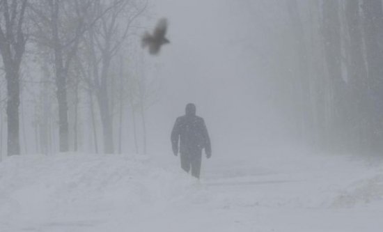 Un bărbat din Vaslui a fost găsit ÎNGHEŢAT în zăpadă, la două zile de când fusese văzut ultima dată în viaţă