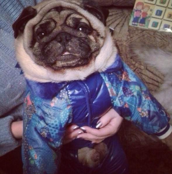 Cele mai amuzante imagini, surprinse de jurnalişti la Soci. "Vă rugăm nu PESCUIŢI în toalete" 246098