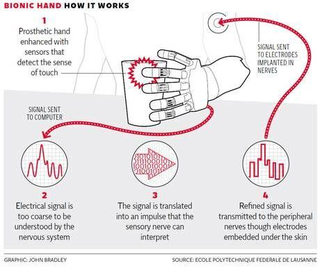 Oamenii de știință au testat "mâna bionică", ce simte obiectele  246173