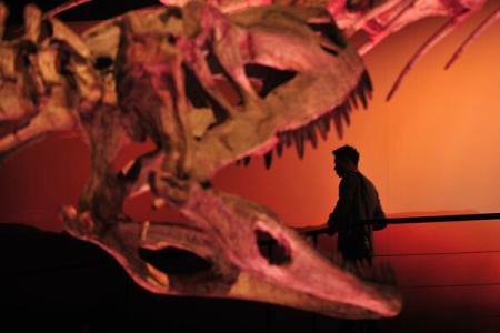 O erupție vulcanică ar fi cauzat moartea în masă a dinozaurilor din nord-estul Chinei 