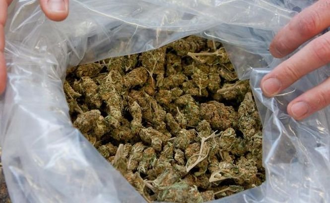 2 tone de marijuana au fost confiscate în Albania. IARBA urma să ajungă în Italia şi Grecia
