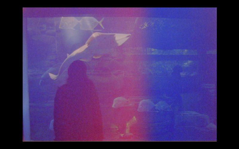 Despre dragoste și frumusețe la ediția a opta:  NexT Is Love și NexT Look 247238