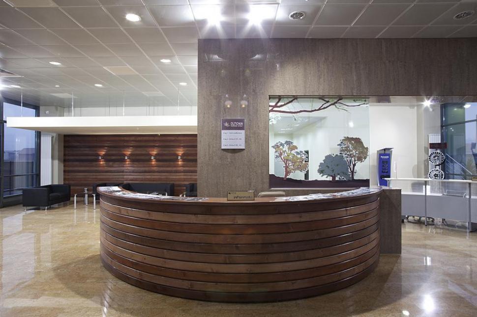 (P) Regio: Oltenia Business Center - un nucleu pentru dezvoltarea afacerilor în Râmnicu Vâlcea 244531