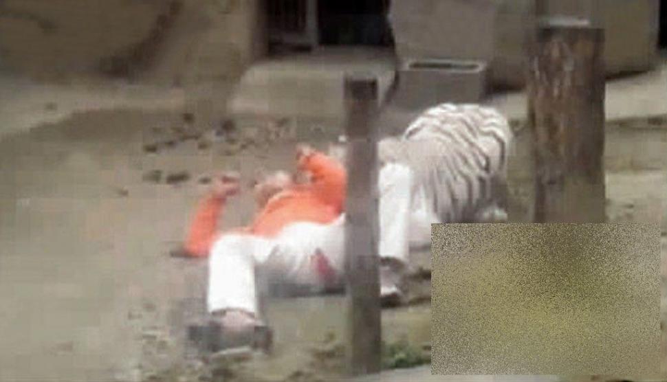 S-a aruncat în ţarcul tigrilor pentru a fi sfâşiat de animale. Ce s-a întâmplat cu acest chinez 247746
