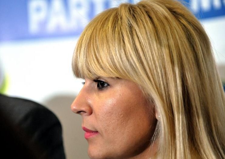 Elena Udrea vrea ca PNL să susţină candidatul PMP la prezidenţiale