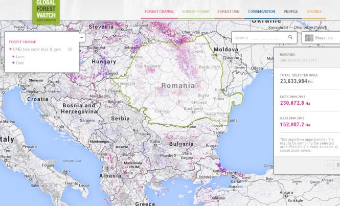 Un site care monitorizează despăduririle, lansat de Google