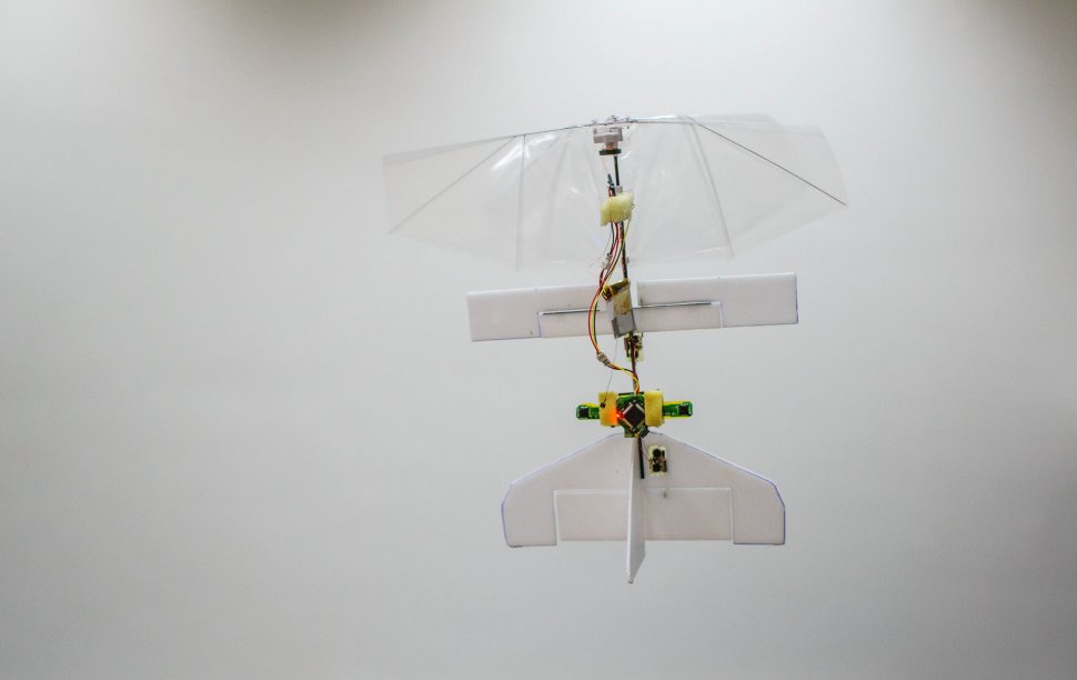 Cea mai mică &quot;insectă-dronă&quot; din lume are 20 de grame 