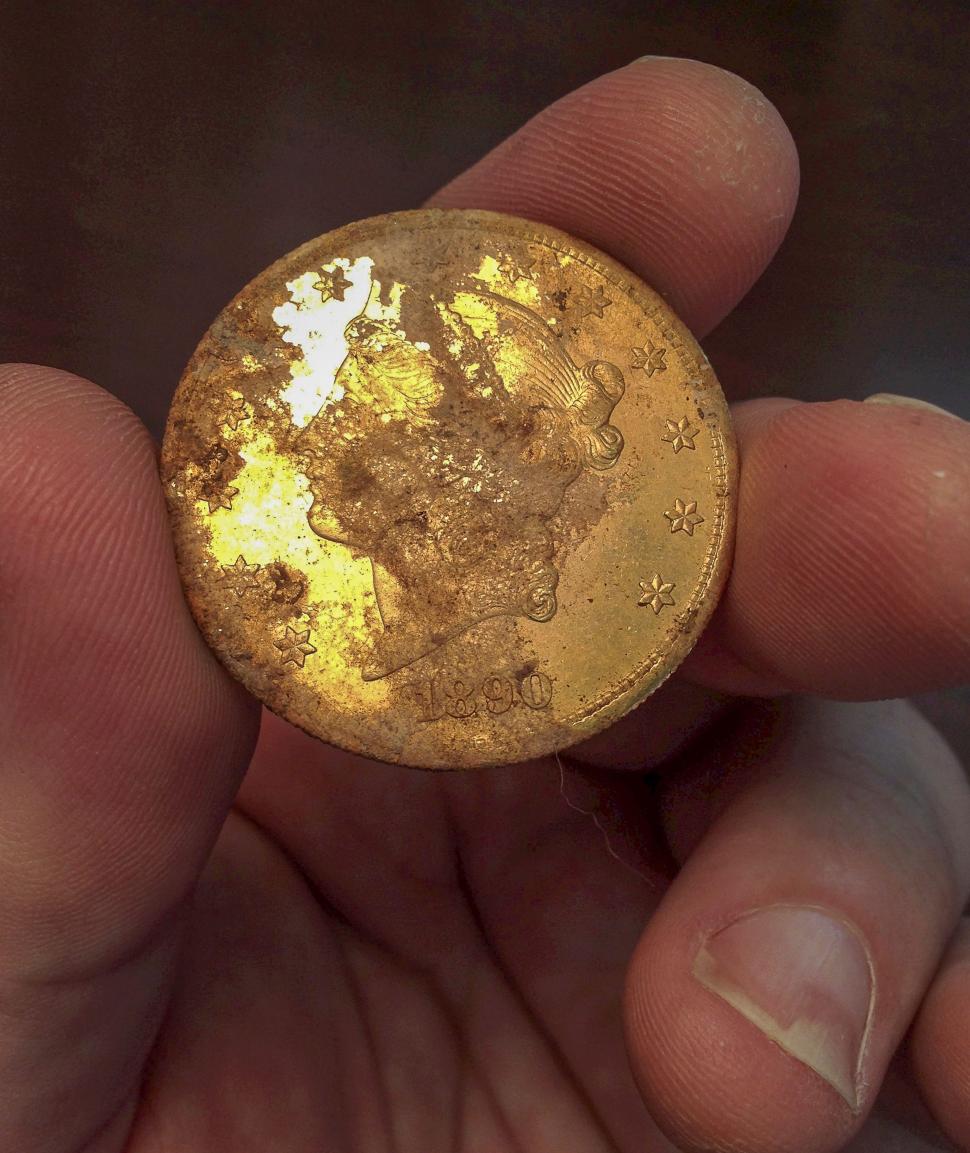 Descoperire incredibilă în California. Au găsit o comoară de 10 milioane de dolari în propria grădină 249193