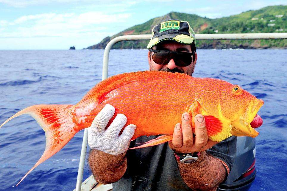 "Aşa arată Raiul pe Pământ". Insula din mijlocul lui "Nicăieri" pe care trăiesc 48 de oameni. "E o viaţă PERFECTĂ" 249287