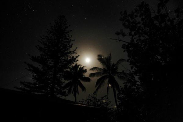 "Aşa arată Raiul pe Pământ". Insula din mijlocul lui "Nicăieri" pe care trăiesc 48 de oameni. "E o viaţă PERFECTĂ" 249295