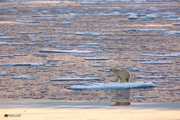 Aceste imagini au făcut înconjurul lumii. Putem vedea cu ochii noştri efectele devastatoare ale încălzirii globale 249940