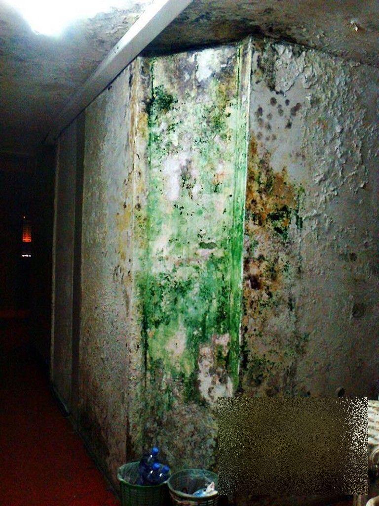 Acesta este IADUL studenţilor. Cum arată pe dinăuntru cel mai mare cămin studenţesc din ţară 251057