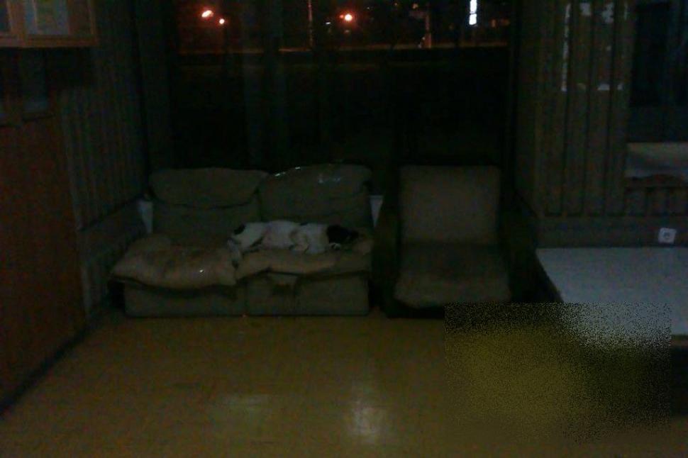 Acesta este IADUL studenţilor. Cum arată pe dinăuntru cel mai mare cămin studenţesc din ţară 251066