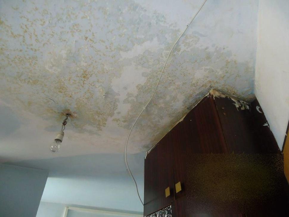 Acesta este IADUL studenţilor. Cum arată pe dinăuntru cel mai mare cămin studenţesc din ţară 251068