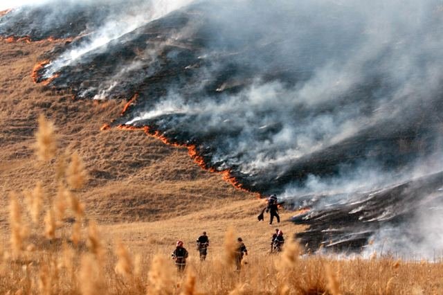 Incendiile de vegetaţie au distrus hectare întregi de pădure şi mirişte în Harghita. Oamenii au pus focul