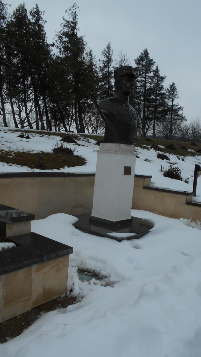 (P) Regio reface Drumul de glorie al Armatei Române în Primul Război Mondial 251221