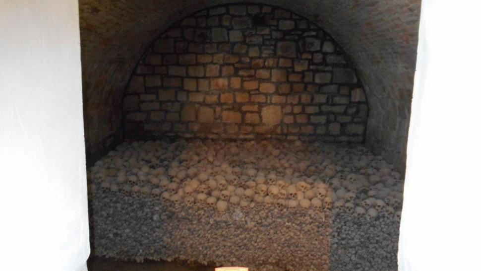 (P) Regio reface Drumul de glorie al Armatei Române în Primul Război Mondial 251248