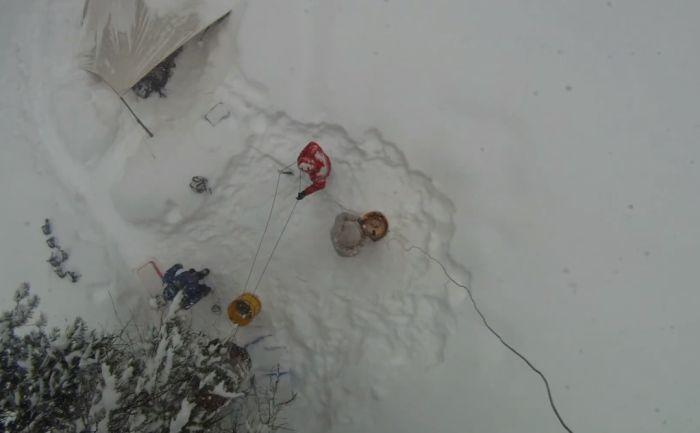 "Preşedintele" nu a fost fotografiat niciodată, până ACUM. Cum arată copacul de 3.200 de ani 252084