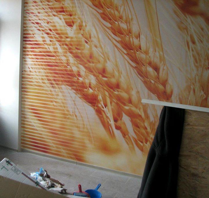 (P) First Idea Promotion, Piteşti: primii paşi în era digitală, prin Regio  252643