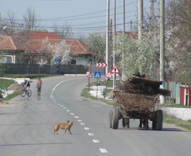 Satul din România care poate intra în Cartea Recordurilor. Şoferii îşi fac cruce când trec pe aici: "N-am mai văzut aşa ceva" 253993