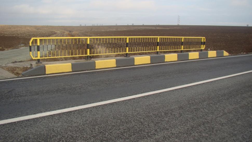 (P) Regio facilitează accesul spre Constanța 253893