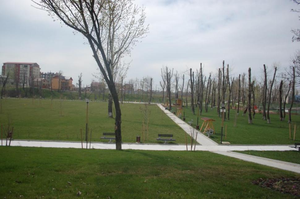 (P) Cu ajutorul programului Regio, oraşul Bragadiru este mai sigur, mai curat, mai frumos 255333