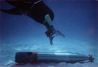 Delfinii militari ai SUA, exerciţiu în Marea Neagră