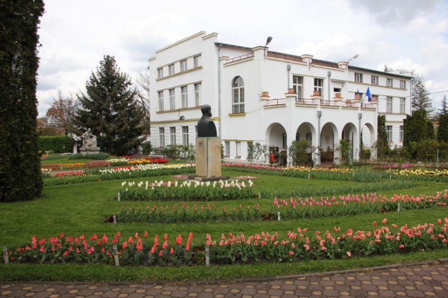 Imagini superbe din "ORAŞUL LALELELOR" din România. 123 de soiuri de lalele, în premieră la Grădina Botanică din Cluj 256949